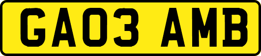 GA03AMB