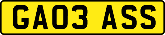 GA03ASS