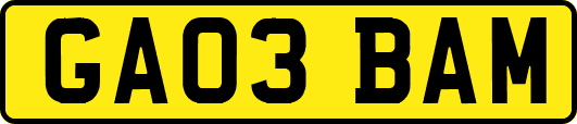 GA03BAM