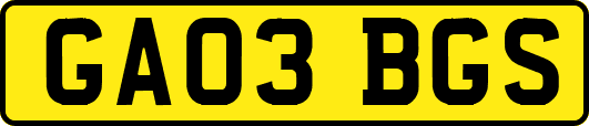 GA03BGS