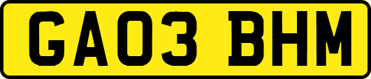 GA03BHM