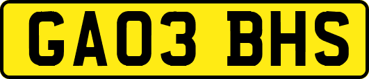 GA03BHS