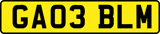 GA03BLM
