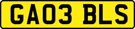 GA03BLS