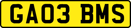 GA03BMS
