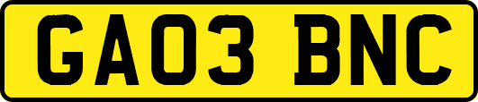 GA03BNC