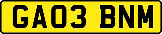 GA03BNM