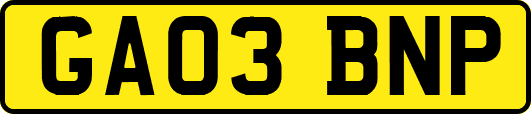 GA03BNP