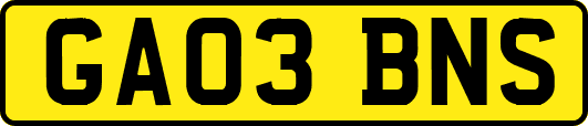 GA03BNS