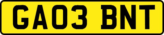 GA03BNT