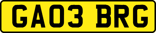 GA03BRG