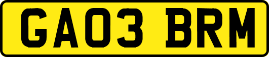GA03BRM