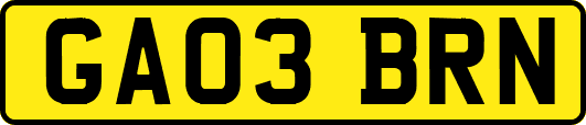 GA03BRN