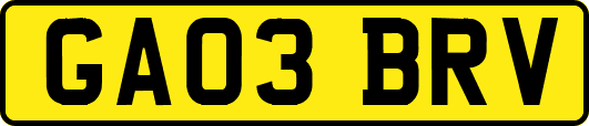 GA03BRV