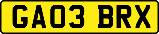GA03BRX