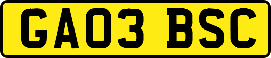 GA03BSC