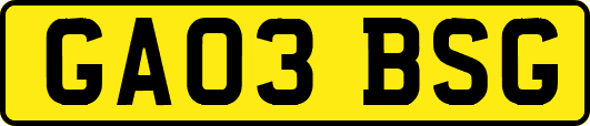 GA03BSG