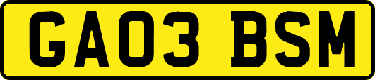 GA03BSM