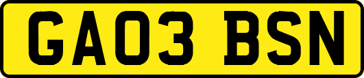 GA03BSN
