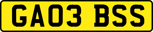 GA03BSS