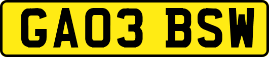 GA03BSW