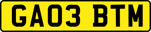 GA03BTM