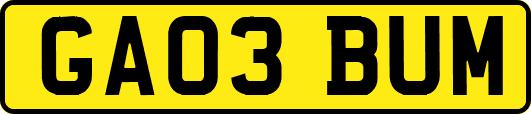GA03BUM