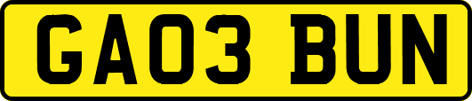 GA03BUN