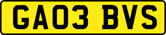 GA03BVS