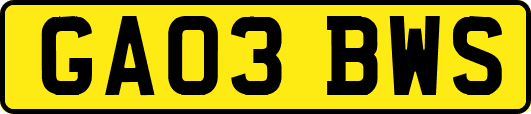 GA03BWS