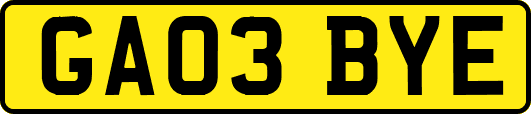 GA03BYE