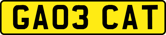 GA03CAT
