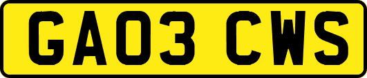 GA03CWS