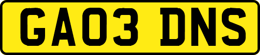 GA03DNS