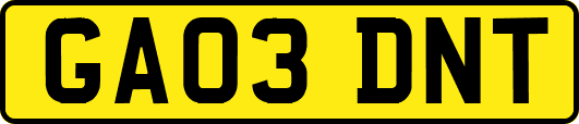 GA03DNT