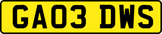 GA03DWS