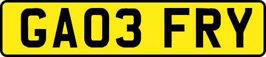 GA03FRY