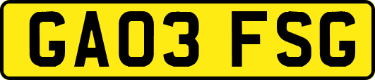 GA03FSG