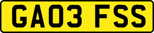 GA03FSS