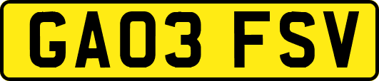 GA03FSV