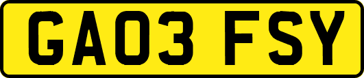 GA03FSY