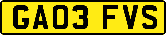 GA03FVS