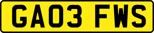 GA03FWS