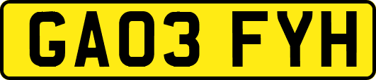 GA03FYH