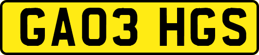GA03HGS