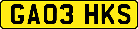 GA03HKS