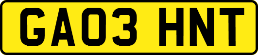 GA03HNT