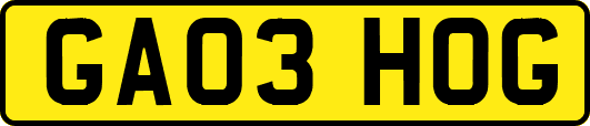 GA03HOG