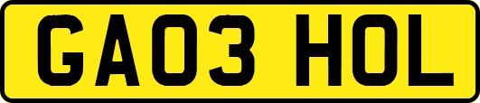 GA03HOL