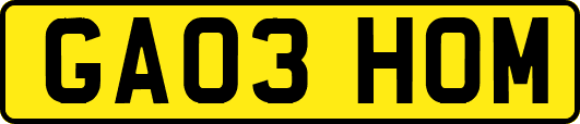 GA03HOM